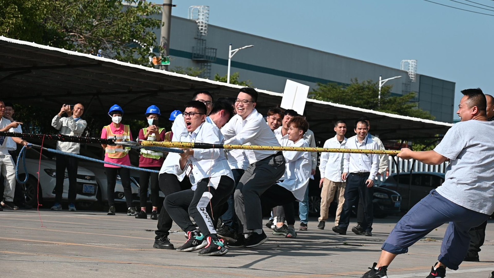 5fc9ea6692725.jpg 5fc9ea6692725.jpg